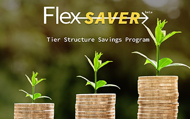 Introducing the Flex Saver Savings Program