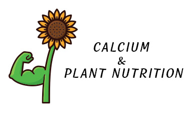 Calcium and Plant Nutrition