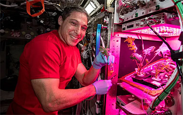 NASA Astronaut Takes Gardening to a New Level