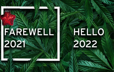 ChilLED Update – Farewell 2021, Hello 2022