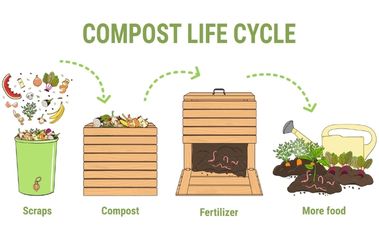 Do Kitchen Scraps Really Work? – Fertilizing With Raw Waste