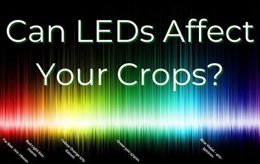 Can LEDs Affect The Taste And Smell Of Your Crops?