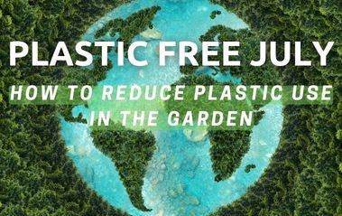Plastic Free July – How To Reduce Plastic Use In The Garden